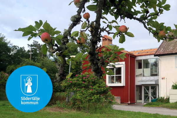 Stiftelsen Emyhemmet