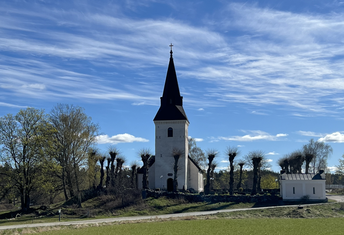 Fågelvandring